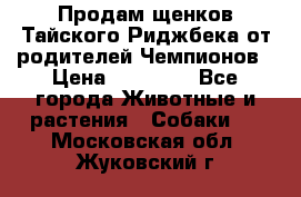 Продам щенков Тайского Риджбека от родителей Чемпионов › Цена ­ 30 000 - Все города Животные и растения » Собаки   . Московская обл.,Жуковский г.